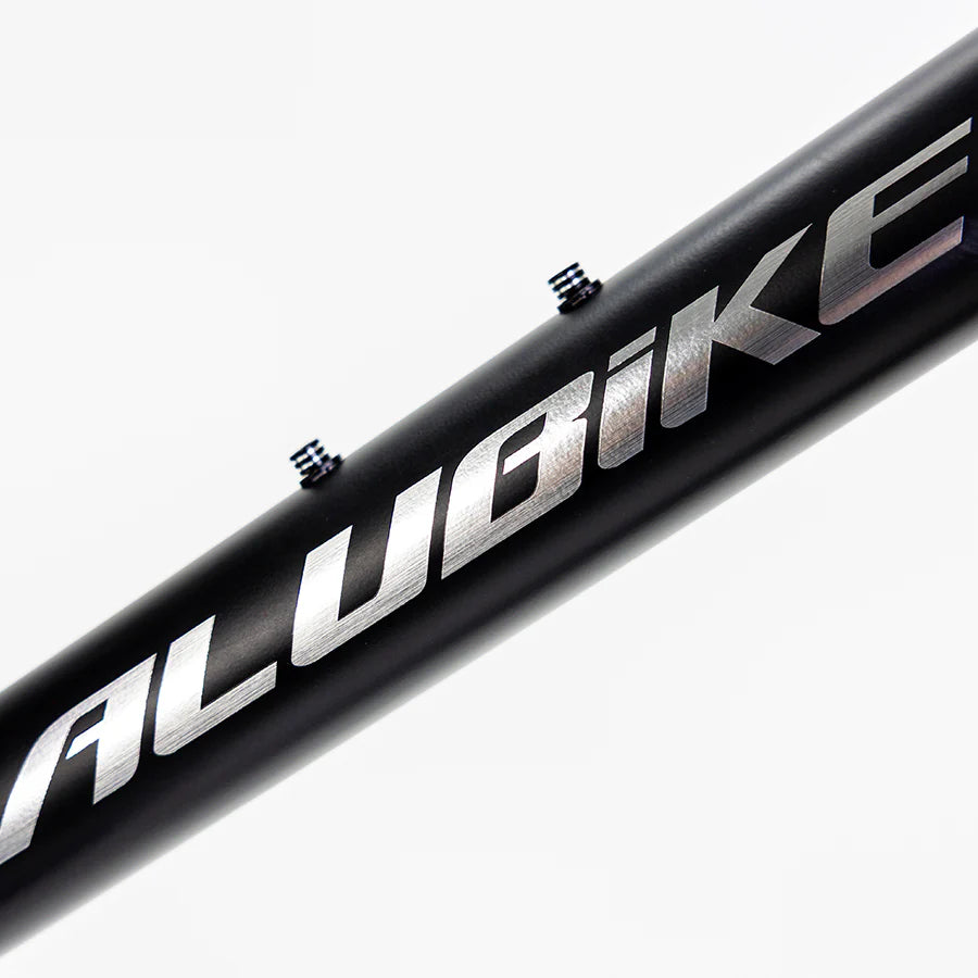 ALUBIKE MTB XTA 1.0 29 NEGRO TALLA S MODELO 2026