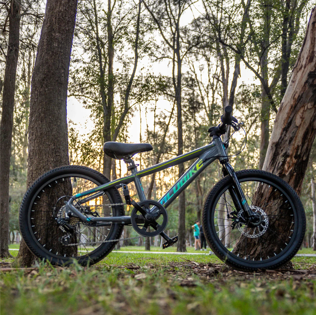 BICICLETA NIÑO ALUBIKE SIERRA 20