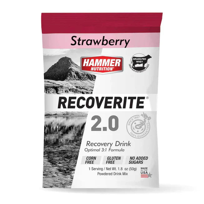 HAMMER NUTRITION RECOVERITE 2.0 SPORTS DRINK