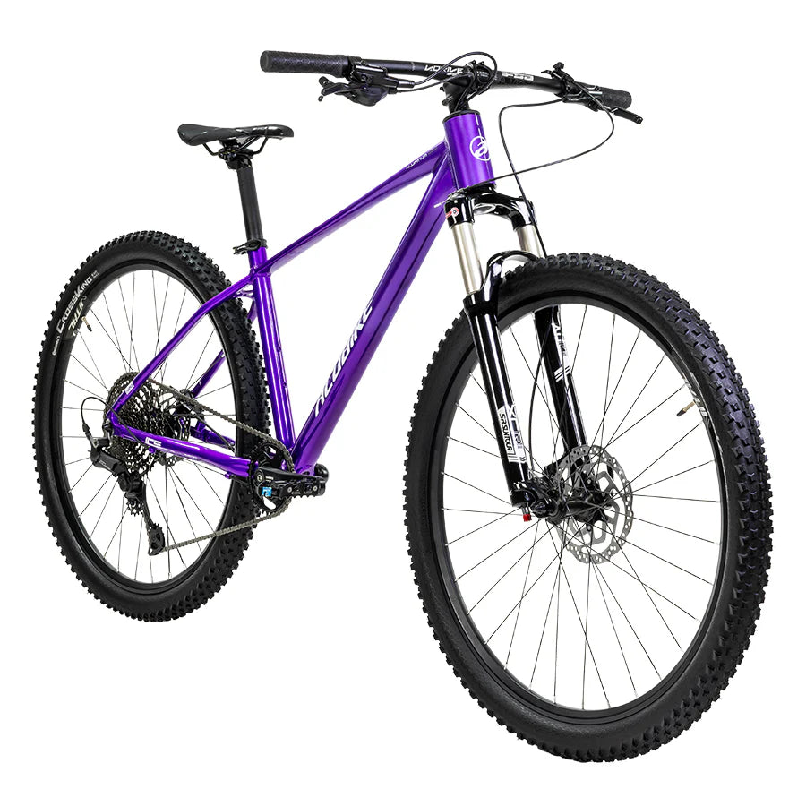 ALUBIKE MTB XTA 2.0 29 MORADA TALLA M MODELO 2026