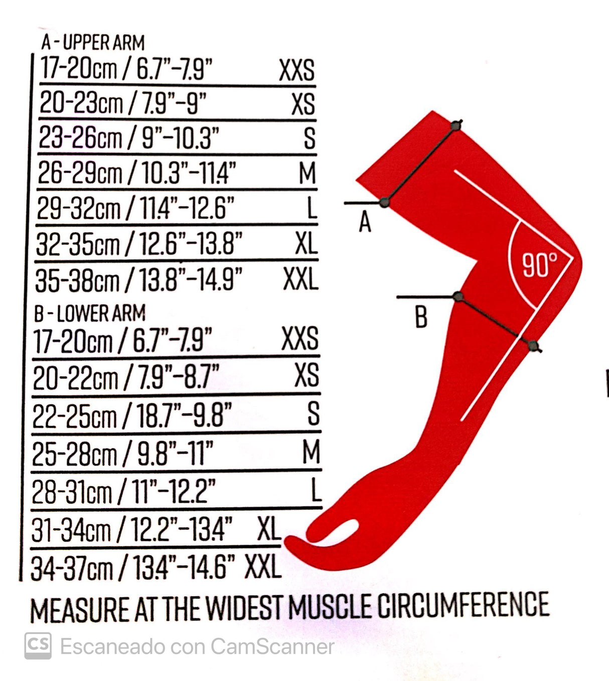 CODERAS ALPINESTARS PARAGON PLUS