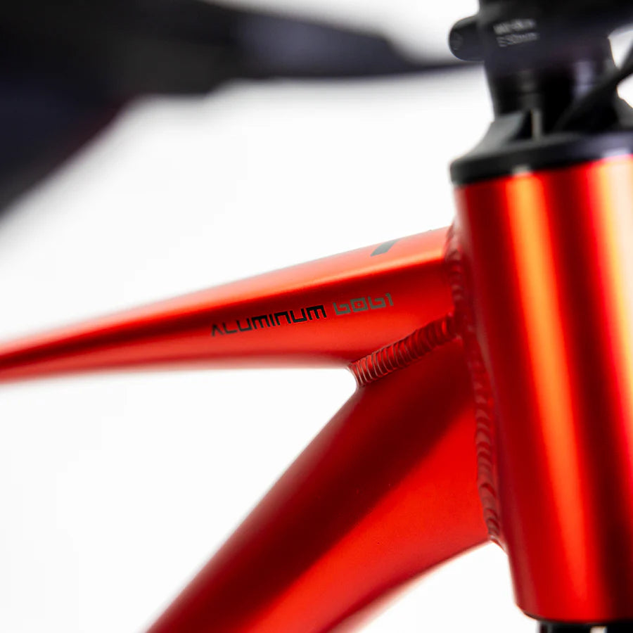 ALUBIKE MTB XTA 1.0 29 ROJO TALLA L MODELO 2026