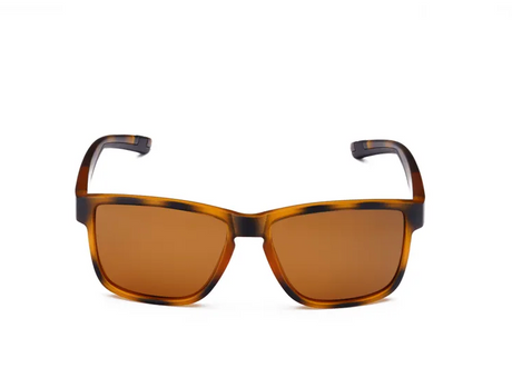 Lentes PAYLE Draco Casual