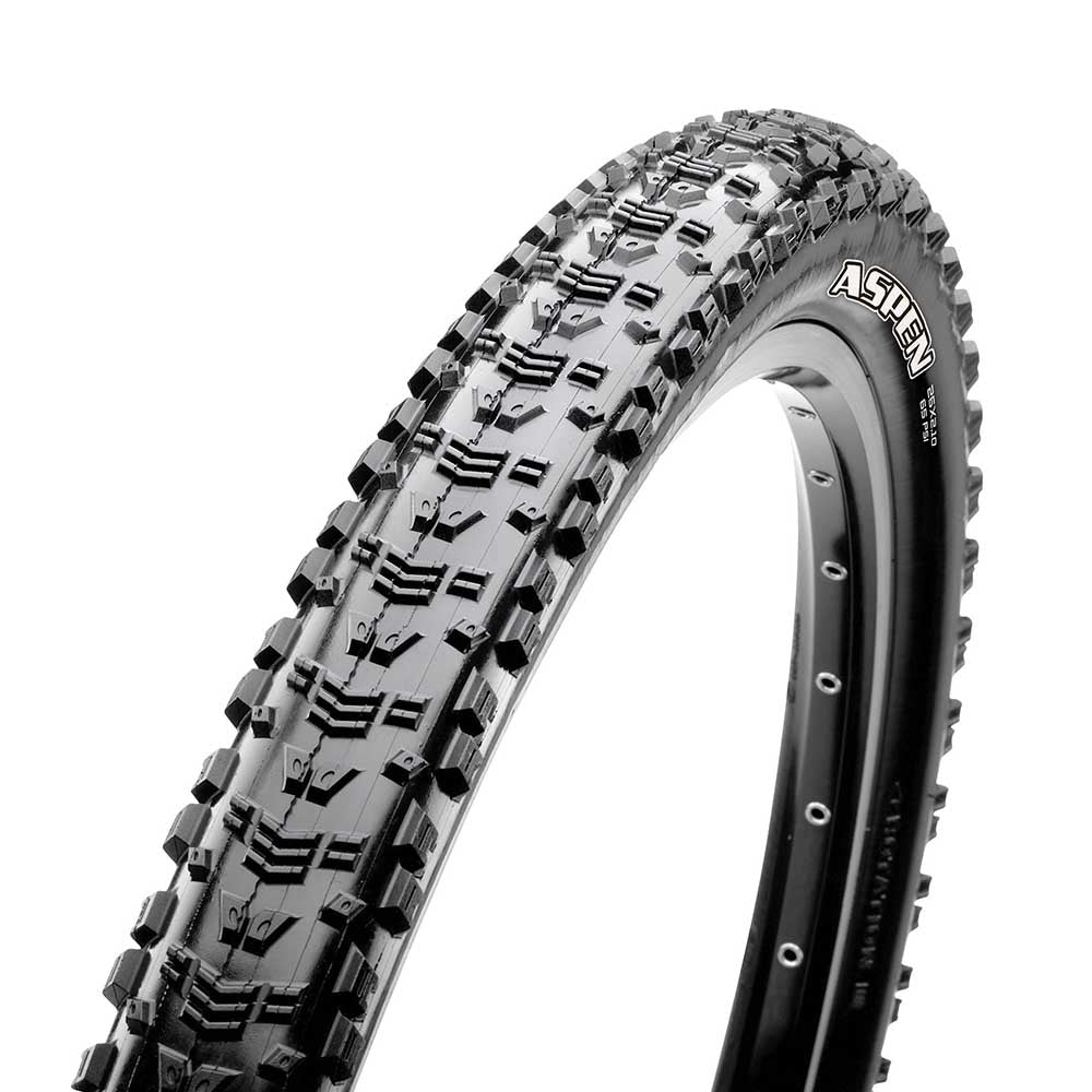 ASPEN 29X2.4 TEAM SPEC 170 TPI MAXX SPEED TR