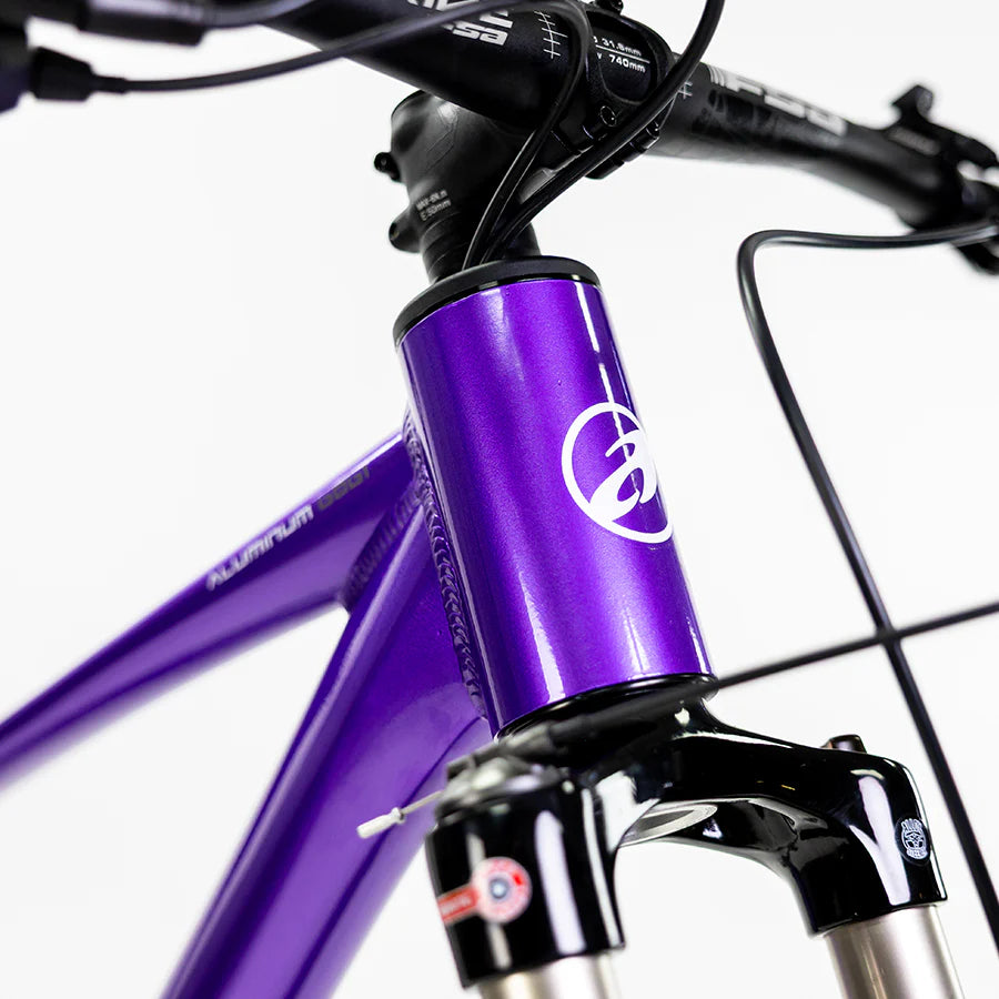 ALUBIKE MTB XTA 2.0 29 MORADA TALLA S MODELO 2026